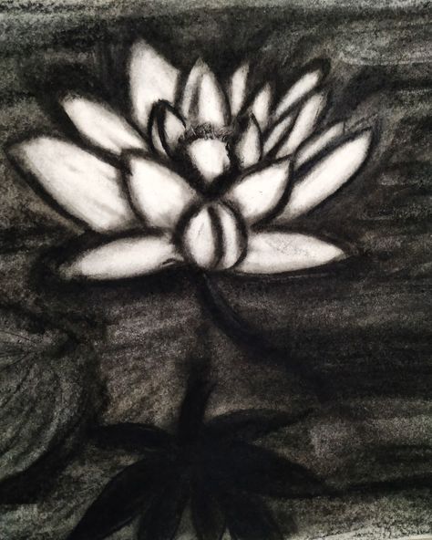 #charcoal#drawing#lotus Charcoal Drawing, Pencil Drawings, Lotus, Sketch Book, Drawings, Flowers, Instagram, Art