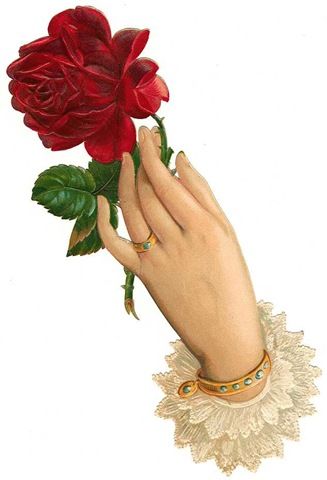 Hand Holding Rose, Hands Holding Flowers, Single Red Rose, Victorian Scrap, Hand Flowers, Victorian Flowers, Language Of Flowers, Clip Art Vintage, Hand Holding