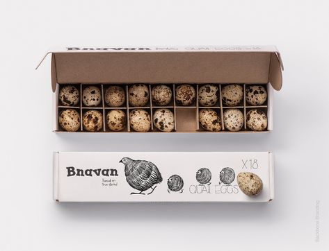 Boxes Design Ideas, Fresh Food Packaging, Packaging Design Food, Boxes Design, Honey Logo, Egg Packaging, Egg Box, Handmade Packaging, Quail Eggs