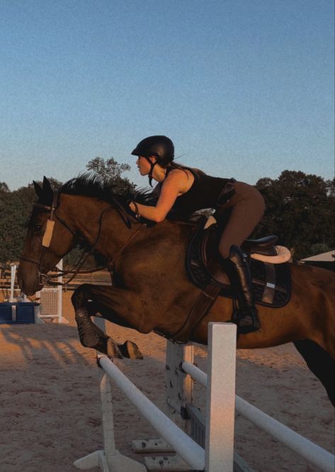 Hores Riding Girl, Equestrian Aesthetic Jumping, Dream Horse Life, Horse Riding English, English Equestrian Aesthetic, Horse Jumping Aesthetic, English Horse Riding Aesthetic, English Riding Aesthetic, Show Jumping Aesthetic