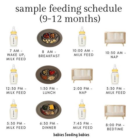 9 Month Food Schedule, Foods To Give A 9 Month Old, 9 Month Old Meal Schedule, 9 Month Eating Schedule, 12 Month Eating Schedule, How Much Milk Does 11 Month Old Need, 12 Month Old Eating Schedule, 7 Month Baby Led Weaning Food Ideas, 9 Month Old Meal Plan