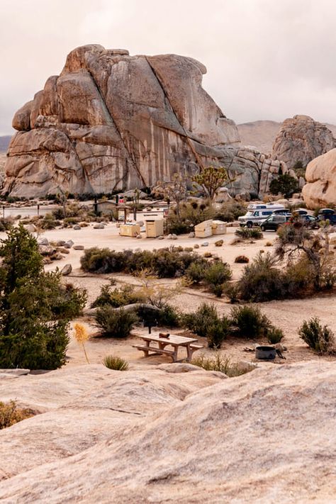 Joshua Tree Climbing, Campervan Exterior, Couples With Dogs, Joshua Tree Camping, Diy Camper Van, Tree Camping, Destination Travel, Best Campgrounds, Cool Tree Houses