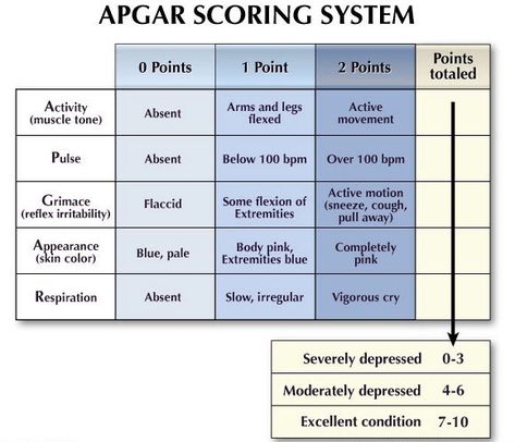 WHAT’S AN APGAR SCORE (and why is it important to my baby)? | Birth Injury Lawyers Alliance Virginia Apgar, Notes English, Apgar Score, Bsc Nursing, Course Notes, Nurse Cartoon, Doula Care, Nursing Classes, Written Notes