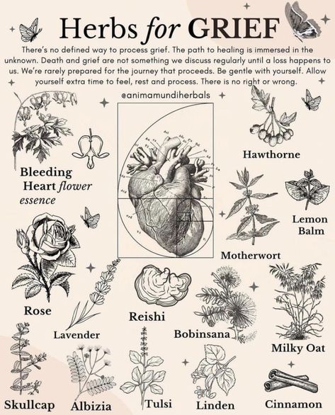 Herbs For Mental Health, Witchy Healing, Allow Yourself To Feel, Nature Healing, Medical Herbs, Healing Magic, Witch Spirituality, Magic Herbs, Magical Herbs