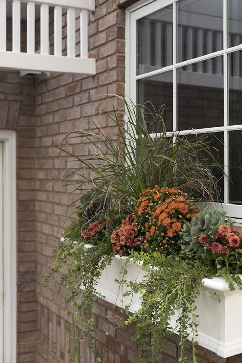 Fall Containers Planters, Fall Flower Boxes, Window Planter Box, Fall Container Plants, Curbside Appeal, Fall Window Boxes, Window Planter, Fall Windows, Fall Container Gardens