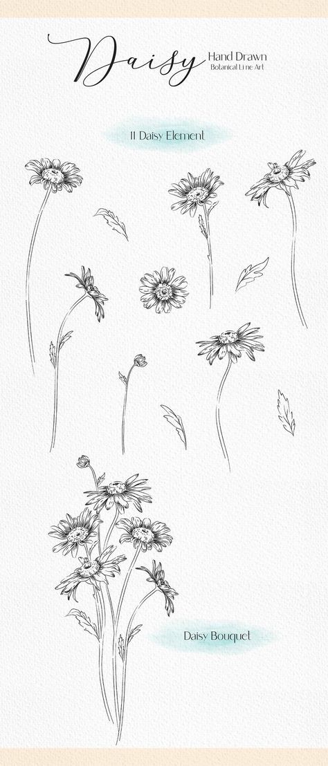 Line drawing daisy clip art daisy flower svg botanical image 1 Daisy Drawing Reference, Tall Flower Drawing, Daisy Sketch Simple, Line Drawing Daisy, Daisy Line Drawing, Daisy Line Art, Daisy Sketch, Drawing Daisy, Flowers Line Drawing