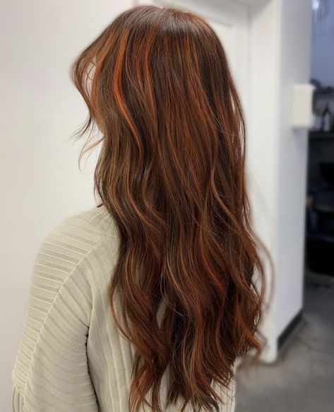 Copper is meant for all kind of hair designs & these highlights blend in like a dream! Copper Foils Hair, Cowgirl Copper, Redken Color Gels, Copper Highlights, Makeup For Teens, Hair Inspo Color, Color Inspo, All Things Beauty, Hair Designs