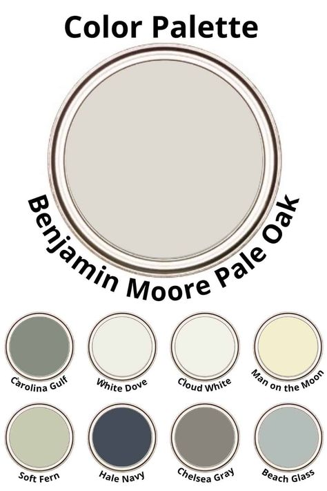 Benjamin Moore Pale Oak is one of Benjamin Moore's best-selling neutral paint colors, It's a beautifully soft and light gray that can also be considered a greige, #paintcolors #gray #greige #interiors Benjamin Moore Paint Colors Greige, Benjamin Moore Gray Beige Paint Colors, Pale Oak Benjamin Moore Color Scheme, Colors With Pale Oak, Neutral Paint Benjamin Moore, Benjamin Moore Interior Paint Schemes, Benjamin Pale Oak, Pale Oak Palette, Pale Oak Accent Colors