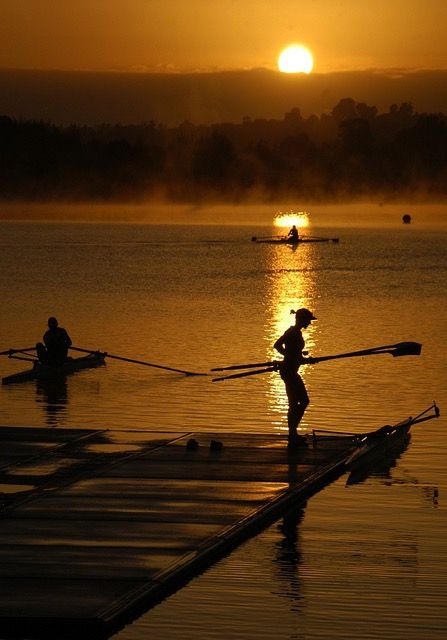 Rowing Rowing Photography, Surfing Workout, Rowing Crew, Rowing Workout, Row Row Your Boat, Boat Race, Celebrity Travel, Surfing Waves, Rowing