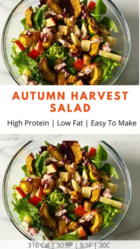 Macro Friendly Salad Recipes, Macro Friendly Fall Dinner Recipes, Fall Macro Friendly Recipes, Macro Friendly Thanksgiving Recipes, Macro Friendly Fall Recipes, Macro Friendly Salads, Air Fried Squash, Autumn Harvest Salad, Harvest Salad Recipes