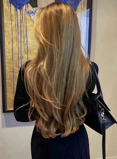 Soft Healthy Hair, Healthy Blonde Hair, Black Dagger Brotherhood, Long Healthy Hair, Honey Blonde Hair, Dark Blonde Hair, Blonde Hair Inspiration, Hair Aesthetic, Long Blonde