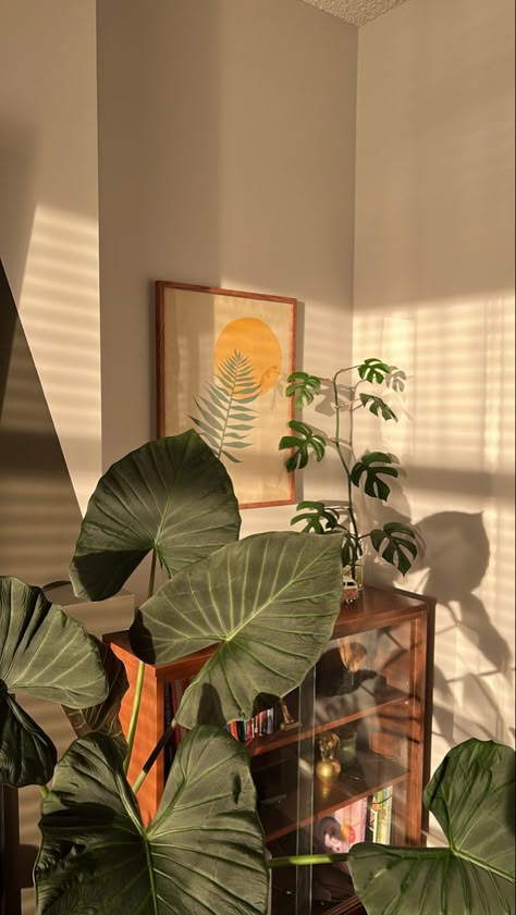 Plant Aesthetic, 背景 シンプル, Aesthetic Rooms, Minimalist Wallpaper, Plant Mom, Decor Minimalist, Green Wallpaper, Green Aesthetic, 2024 Vision Board