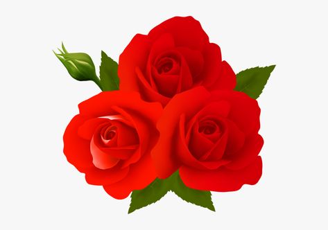 Red Rose Png, Photo To Cartoon Photoshop, Rosé Cartoon, Rose Flower Png, Transparent Wallpaper, Animated Clipart, Rose Flower Photos, Hd Flower Wallpaper, Rosé Png