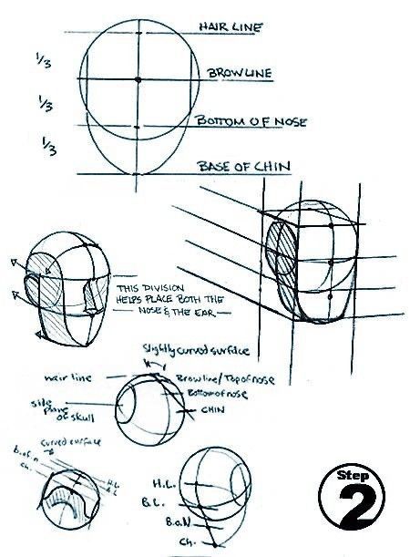 Loomis Face Proportions, Male Proportions, Female Proportions, Face Proportions Drawing, Draw A Head, Croquis Sketch, Loomis Method, Drawing The Human Head, Improve Your Drawing