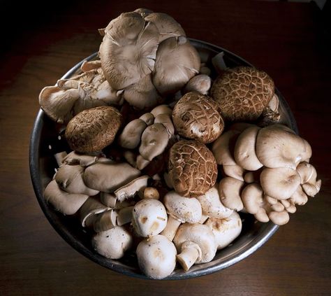 The Mushroom Medley Master Recipe is a standard flavor base that powers plenty of dishes in our kitchen. Mushroom Medley, The Mushroom, Us Foods, Stuffed Mushrooms