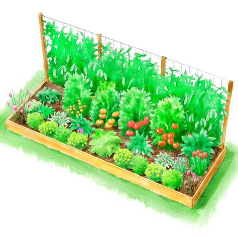 Garden Layout Vegetable, Small Vegetable Gardens, Vegetable Garden Planning, Indoor Vegetable Gardening, Garden Illustration, Planting Plan, Flowers Wallpaper, Garden Features, Garden Layout