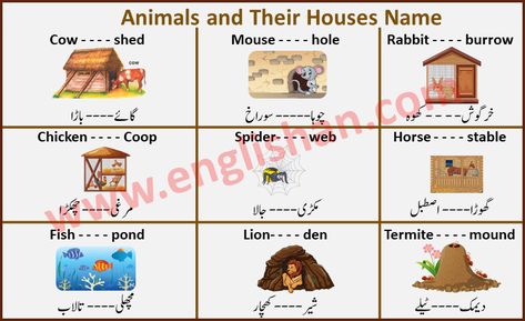 List of Animals and Their Homes Pdf, Wild Animals and Their Homes, Animals and Their Homes Ppt, Homes of Wild Animals, Farm Animals and Their Homes, Domestic Animals and Their Homes Pictures, Animals and Their Homes Worksheets, Animals, Their Babies and Homes Pictures Wild Animals And Their Homes, Farm Animals And Their Homes, Animals And Their Homes Worksheets, Animal Habitats Preschool, Gender Of Animals, Picture Worth A Thousand Words, Animals And Their Homes, Picture Vocabulary, Animal Poems