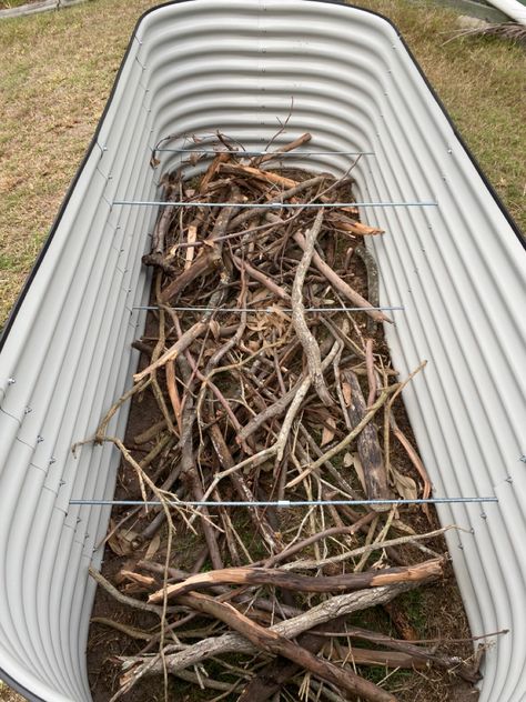 Raised Bed Flower Garden, Pool Yard Ideas, Garden Beds Ideas, Garden Sticks, Plant Swap, Raised Beds Garden, Vego Garden, Gardens Vegetable, Backyard Nature