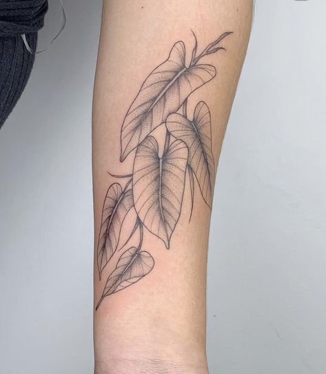 Alocasia Plant Tattoo, Syngonium Tattoo, Alocasia Tattoo, Philodendron Tattoo, Rainforest Tattoo, Monstera Tattoo, Filler Tattoos, Tattoos 2024, Alocasia Plant