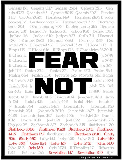 So How Many Times is "Fear Not" Actually in the Bible? 114 times Deuteronomy 31 6, Fear Quotes, Essay Examples, Second Chances, Do Not Fear, God Almighty, Christian Faith, Bible Scriptures, Faith Quotes