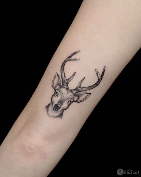 Reindeer Tattoo, Deer Tattoo Designs, Circular Tattoo, Stag Tattoo, Animal Tattoo Ideas, Palm Tattoos, Deer Tattoo, Gemini Tattoo, Muster Tattoos