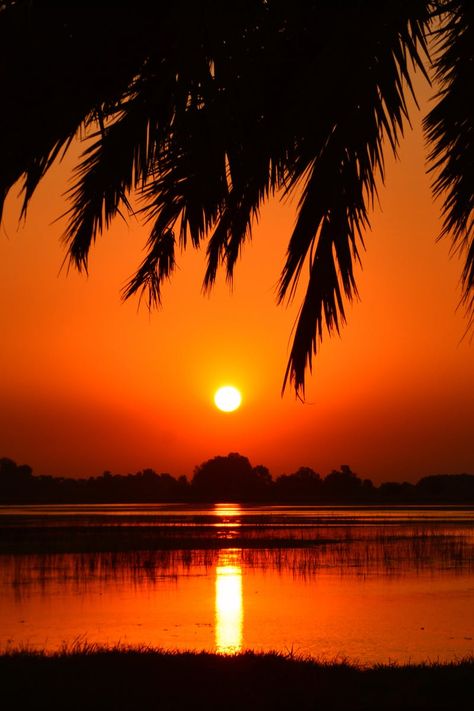 Sunset Photo Background, Beautiful Sunset Mountains, Backlit Photos, Dawn Pictures, Peaceful Scenery, Printed Background, Golden Time, Palm Tree Silhouette, Pastel Sunset