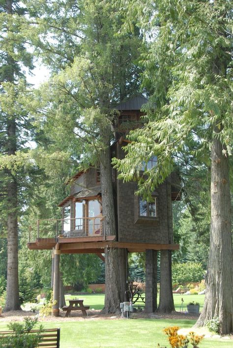 Treehouse on Lake Pend O'reille - Treehouses for Rent in Sandpoint, Idaho, United States Treehouse Airbnb, Sandpoint Idaho, Treehouse Hotel, Bluebird House, North Idaho, A Small House, Lake Vacation, Private Dock, Gorgeous Scenery