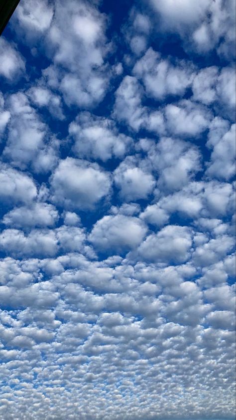 Stratus Clouds, Cloud Pictures, Cloud Photos, Sky Color, Photoshop Backgrounds, Cute Disney Wallpaper, Chicken Eggs, Sky And Clouds, Sky Aesthetic