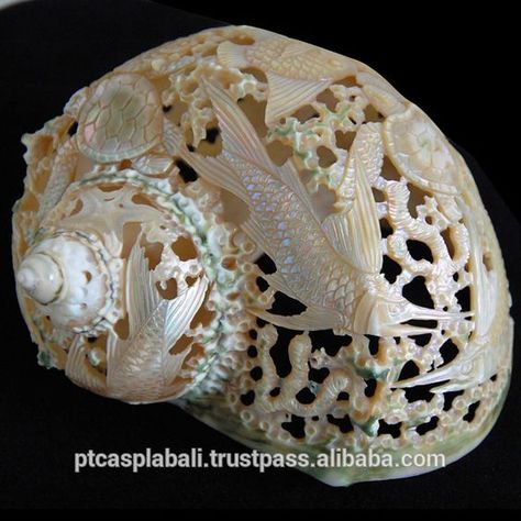 Seashell Carving, Shell Gifts, Shell Decorations, Shell Collection, She Sells Seashells, Painted Shells, Sea Shore, Seashell Art, Carved Shell