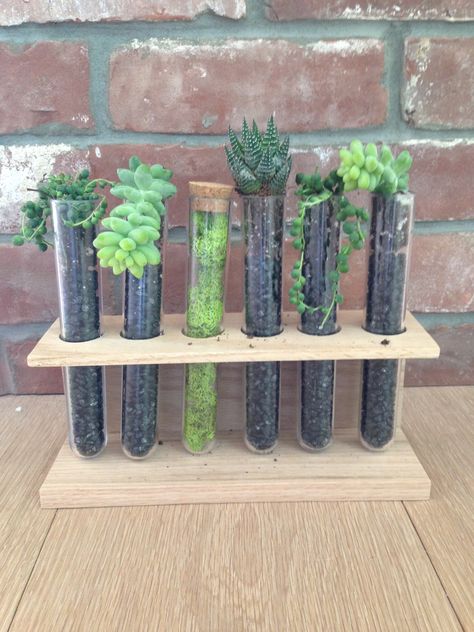 Succulent test tube centerpieces Test Tube Diy Craft Ideas, Test Tube Decor Ideas, Test Tube Plants, Ideas Crafts Diy, Test Tube Crafts, Tube Planter, Crafts Diy Easy, Test Tube Vase, Science Decor