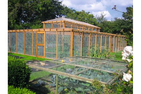 Timber fruit cage, Classic Suffolk Timber Frames Fruit Cage, Fenced Vegetable Garden, Mini Serre, Garden Layout Vegetable, Homestead Farm, Farm Ideas, Farm Garden, Greenhouse Gardening, Vegetable Garden Design