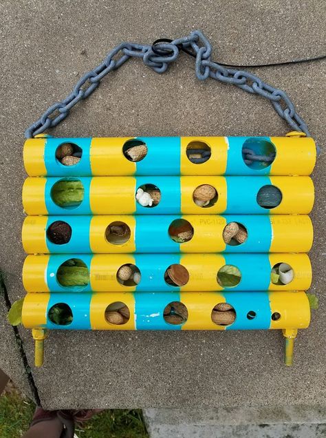 Bird Enrichment Ideas, Crow Enrichment, Wallaby Enrichment, Primate Enrichment Ideas, Monkey Enrichment, Primate Enrichment, Zoo Enrichment, Homemade Bird Toys, Monkey Food