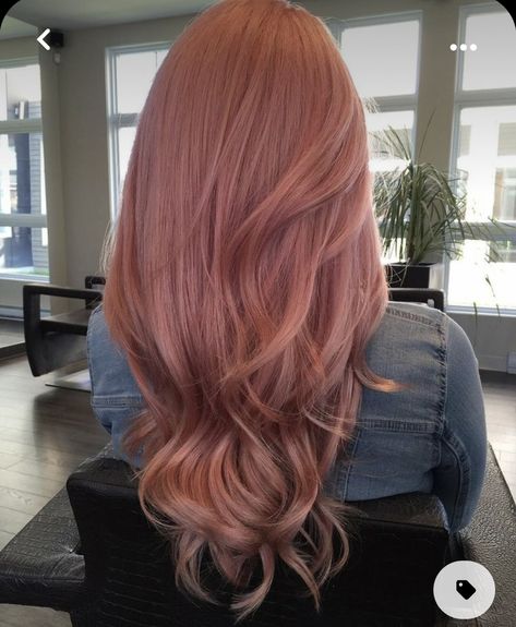 Brunette Hair Trends, Rose Gold Hair Color Ideas, Gold Hair Color Ideas, Rose Gold Hair Color, Gold Hair Color, Gold Hair Colors, Hair Color Rose Gold, Best Rose, Latest Hair Color