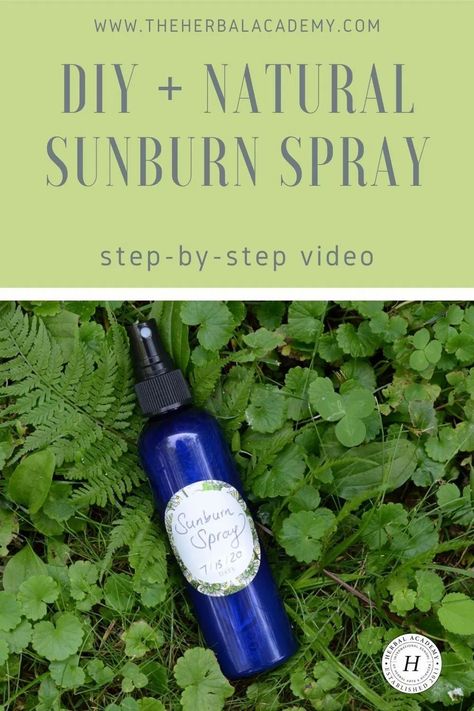 Homemade Sunburn Spray for After-Sun Care (With Video!) | Herbal Academy | In this post, learn how to make a simple, homemade sunburn spray that helps cool discomfort associated with too much sunshine. (#affiliate) How To Help Sunburn, Natural Hemroid Remedies, Natural Add Remedies, After Sun Spray, Herbal Academy, Sunburn Remedies, Face Scrubs, After Sun Care, Natural Remedies For Migraines