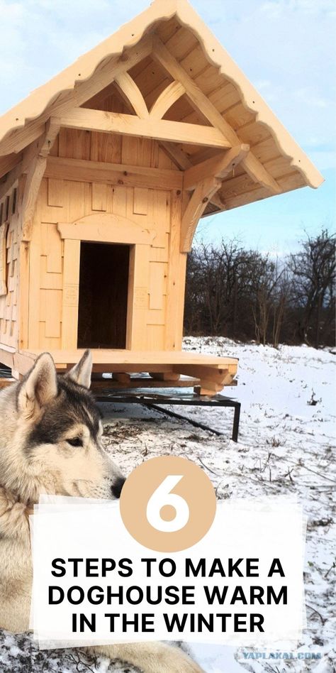 Dogs suffer from the cold just like their owners. Some breeds handle cold weather better than others #doghouse #doghealth #doghealthtips #dogcare #dogcaretips #doghacks #healthydog #doghealthwarningsigns Dog House Insulated, Winter Dog House Diy, Winter Dog Shelter, Insulated Dog House Winter, Dog Igloo Makeover, Diy Dog House Outdoor Large Insulated, Diy Outdoor Dog House Winter, Cold Weather Dog House, Insulated Dog House Diy How To Build