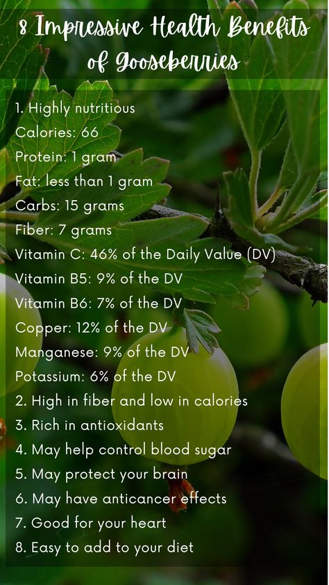 Benefits Of Gooseberries, Gooseberry Benefits Health, Gooseberry Benefits, Natural Eating, Low Calorie Fruits, Rich Food, Diet Meals, Nutrient Rich Foods, Lower Blood Sugar