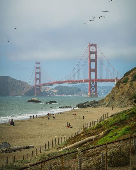 Baker Beach - San Francisco, California Baker Beach San Francisco, Beach San Francisco, Baker Beach, Like Crazy, Golden Gate Bridge, Nature Pictures, Bay Area, San Francisco, Favorite Places