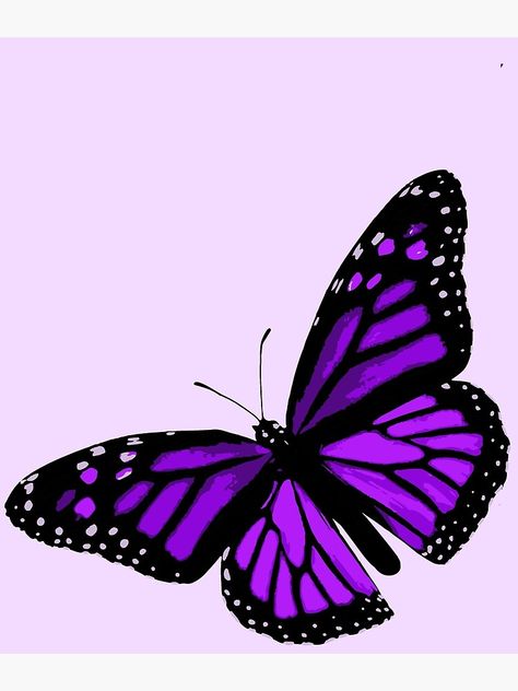 "Purple Monarch Butterfly" Poster by sarahunruh | Redbubble Purple Monarch Butterfly, Butterfly Poster, Dorm Bedroom, Purple Butterfly, Blank Walls, Monarch Butterfly, Bedroom Office, Bedroom, Purple