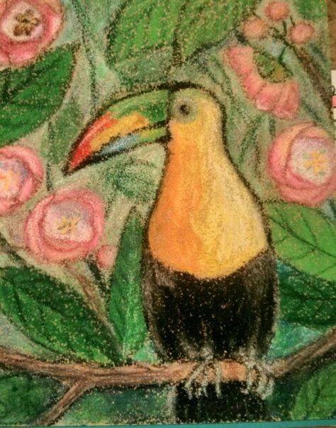 Rainforest Bird, pastel on sandpaper, Sej Easy Rainforest Drawing, Tropical Rainforest Drawing, Rainforest Drawing, Sandpaper Art, Congo Rainforest, Rainforest Birds, Small Cafe Design, Rainforest Animals, Small Cafe