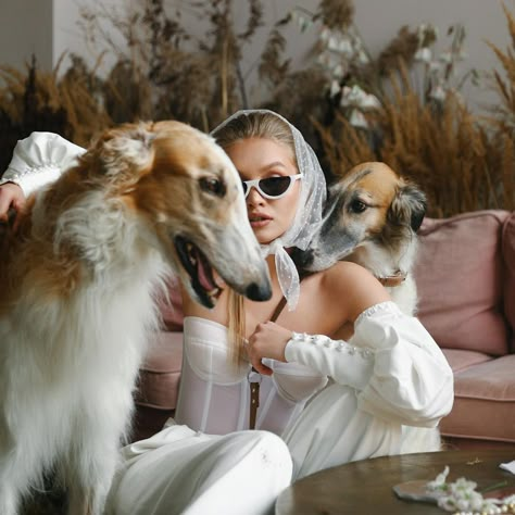 Rich Dog Aesthetic, Old Money Dog, Russian Aristocracy, Pet Photography Poses, Puppy Wedding, Pet Portraiture, Animal Photoshoot, Dog Model, Dog Photoshoot