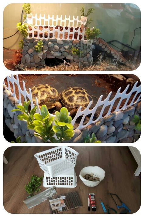 Toys For Tortoises, Tortoise Enrichment, Tortoise Toys, Fake Aquarium, Tortoise House, Tortoise Table, Tortoise Enclosure, Wood Turtle, Russian Tortoise