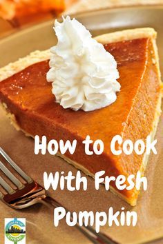 I can't believe how easy it is to use fresh pumpkin. And it's cheap! Pumpkin Fresh Recipes, Pumpkin Recipes With Fresh Pumpkin, Cooking Fresh Pumpkin For Pies, Recipes Using Fresh Pumpkin, How To Use Pie Pumpkins, How To Cook Pumpkins For Pie, Pumpkin Recipes From Real Pumpkin, Pudding Pancakes, Recipes Using 100% Pure Pumpkin