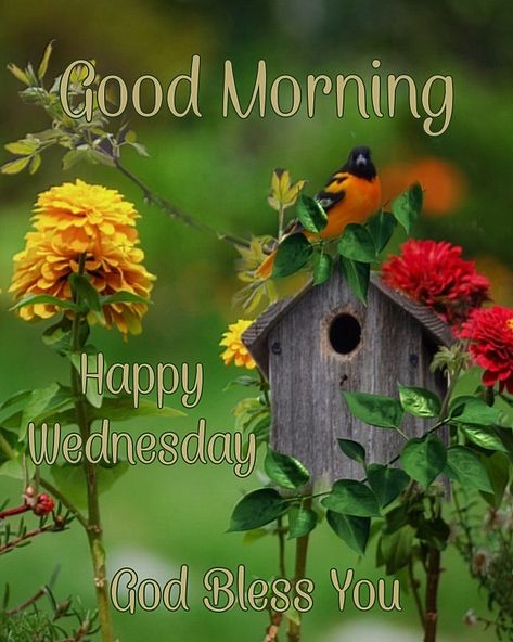 Good Morning Everyone, Happy Wednesday! I pray that you have a safe, happy and blessed day. Wednesday Greetings, Baby Labels, Sunday Greetings, Sunday Wishes, Good Morning Dear Friend, Good Wednesday, Good Morning Wednesday, Beautiful Morning Quotes, Blessed Friday