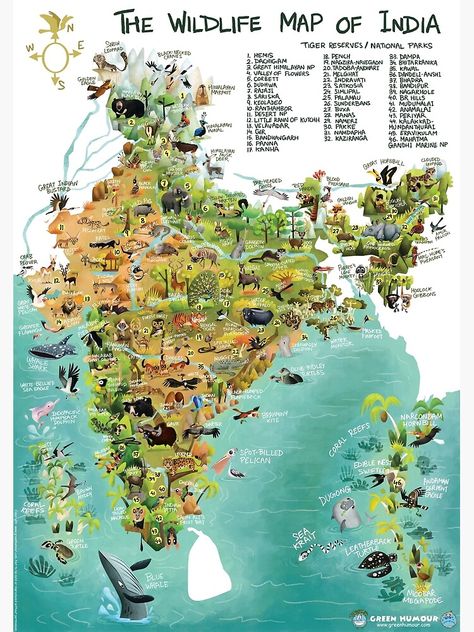 "The Wildlife Map of India" Photographic Print by rohanchak | Redbubble Map Of India, Wildlife Of India, 3d Globe, Indian Animals, Topography Map, India Poster, Geography Map, Tahoe California, India Map