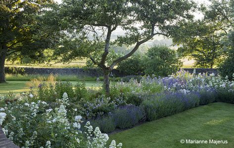 Modern Wild Garden, Border Gardens, Acres Wild, Heart Landscape, Scottish Garden, Country Garden Landscaping, Country Garden Design, Wild Lavender, Garden Island