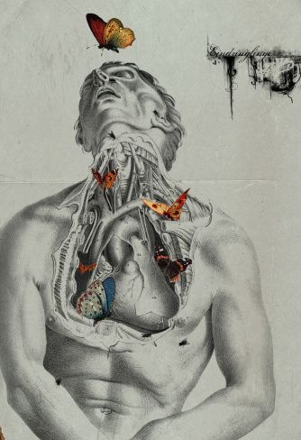 Under Thy Fingers* | Barefoot Whispers | A story of a stabbed heart and an emergency sternotomy #medicine #doctor #anatomy Michele Parliament, Decay Art, Figurative Kunst, Art Alevel, Gcse Art Sketchbook, A Level Art Sketchbook, Human Anatomy Art, Medical Art, Gcse Art