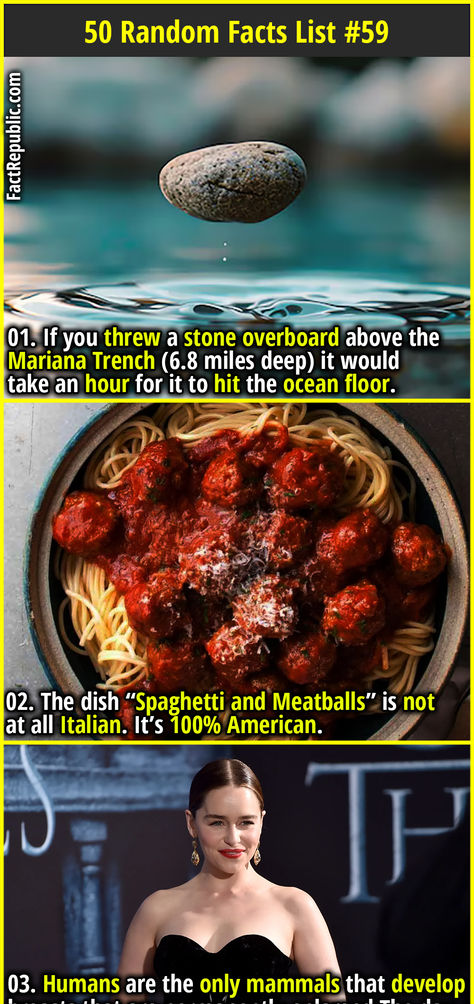 01. If you threw a stone overboard above the Mariana Trench (6.8 miles deep) it would take an hour for it to hit the ocean floor. Scary Ocean Facts, Crazy Facts Mind Blowing, Epic Facts, Disturbing Facts, Scary Ocean, Science Facts Mind Blown, Mariana Trench, Daily Fun Facts, Fact Republic