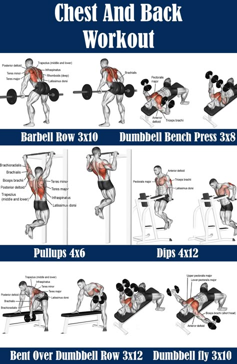 Save this pin, if it was useful for you! Gym Routine Monday To Friday, Chest And Back Workout For Men, Chest Back Workout, Chest And Back Workout, Dumbbell Workout At Home, Chest Workout Routine, Full Body Weight Workout, Workout Gym Routine, Gym Workout Guide