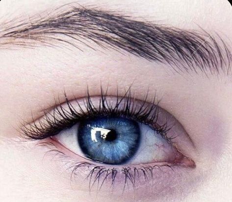 Blue Eyes Aesthetic, Eyes Aesthetic, Golden Brown Hair, Colored Contact Lenses, Seasonal Color Analysis, Makeup Blog, Contact Lenses Colored, Spring Hairstyles, Color Analysis