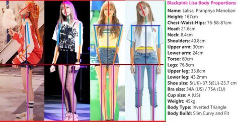 Pranpriya Manoban, Lisa Body, Body Build, Diet Chart, Inverted Triangle, Body Proportions, Upper Arms, Lower Leg, Jennie Lisa